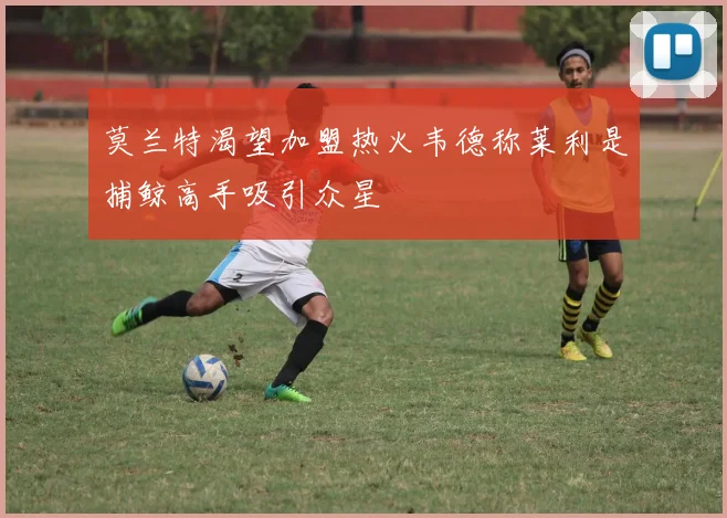 莫兰特渴望加盟热火韦德称莱利是捕鲸高手吸引众星