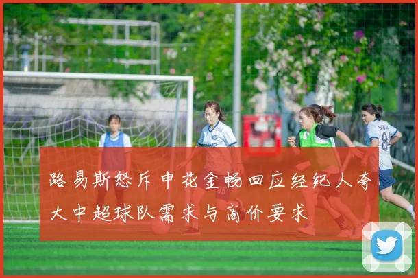 路易斯怒斥申花金畅回应经纪人夸大中超球队需求与高价要求
