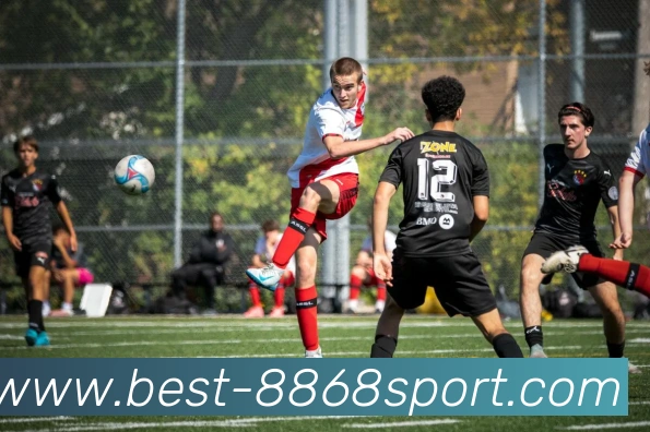 8868体育发展历程